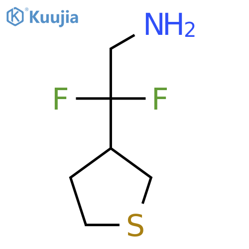 2,2-difluoro-2-(thiolan-3-yl)ethan-1-amine structure
