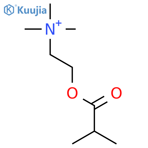 Ethanaminium, N,N,N-trimethyl-2-(2-methyl-1-oxopropoxy)- structure