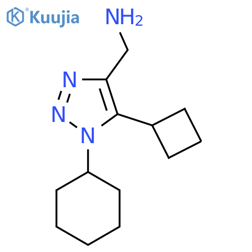 (5-cyclobutyl-1-cyclohexyl-1H-1,2,3-triazol-4-yl)methanamine structure