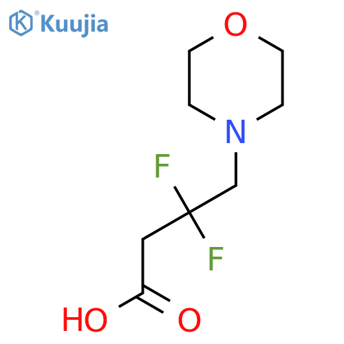 3,3-difluoro-4-(morpholin-4-yl)butanoic acid structure