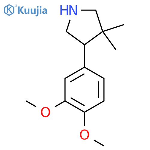 4-(3,4-Dimethoxyphenyl)-3,3-dimethylpyrrolidine structure