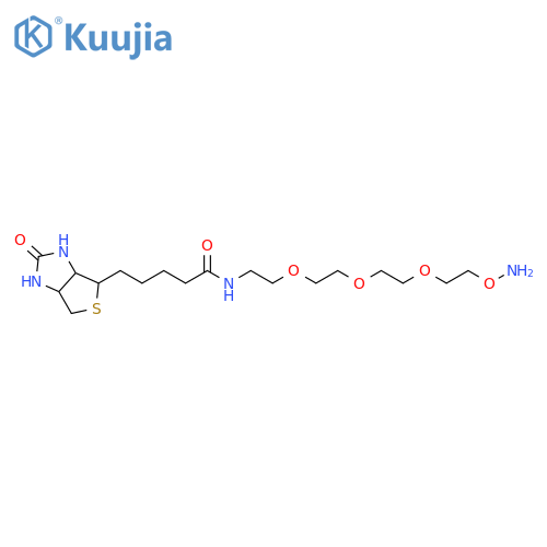 Biotin-PEG3-oxyamine HCl salt structure