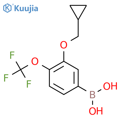 3-(Cyclopropylmethoxy)-4-(trifluoromethoxy)phenylboronic acid structure