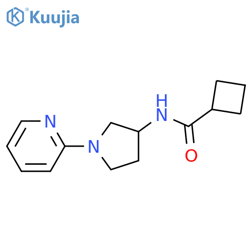 N-(1-pyridin-2-ylpyrrolidin-3-yl)cyclobutanecarboxamide structure