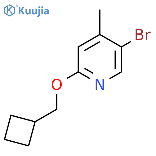 5-Bromo-2-(cyclobutylmethoxy)-4-methylpyridine structure