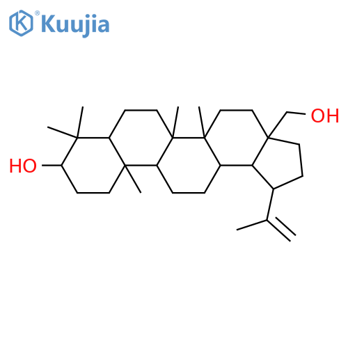 20(29)-Lupene-3,28-diol; (3β,19β)-form structure