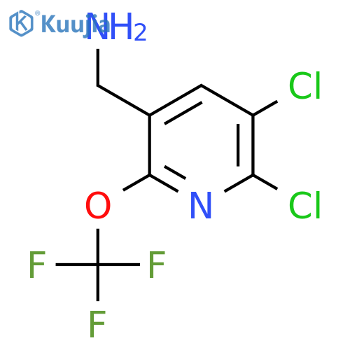 5-(Aminomethyl)-2,3-dichloro-6-(trifluoromethoxy)pyridine structure