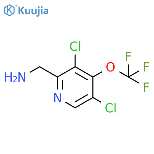 2-(Aminomethyl)-3,5-dichloro-4-(trifluoromethoxy)pyridine structure