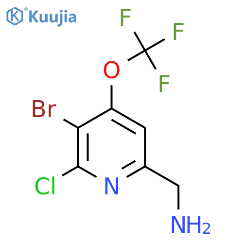 6-(Aminomethyl)-3-bromo-2-chloro-4-(trifluoromethoxy)pyridine structure