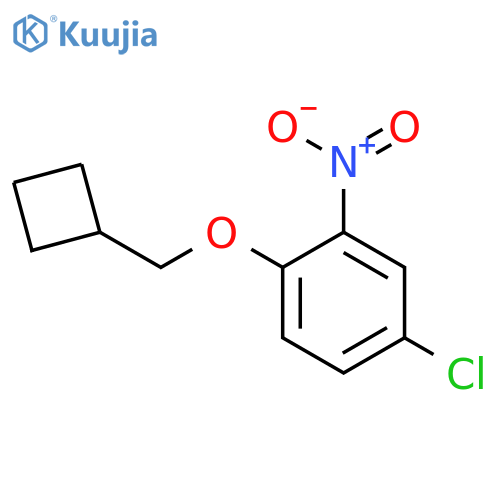 4-chloro-1-(cyclobutylmethoxy)-2-nitrobenzene structure