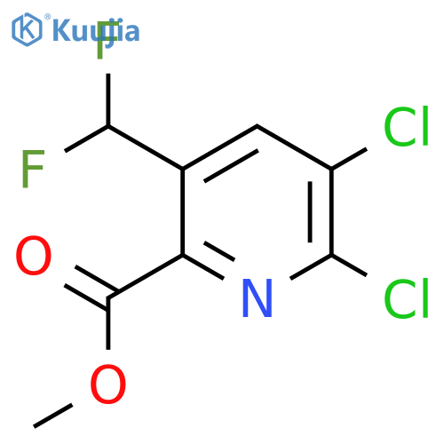Methyl 2,3-dichloro-5-(difluoromethyl)pyridine-6-carboxylate structure