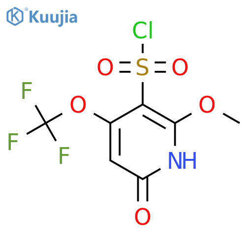 6-Hydroxy-2-methoxy-4-(trifluoromethoxy)pyridine-3-sulfonyl chloride structure
