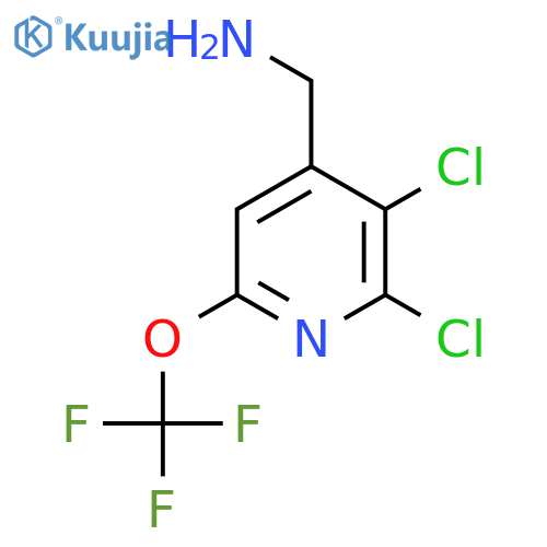 4-(Aminomethyl)-2,3-dichloro-6-(trifluoromethoxy)pyridine structure