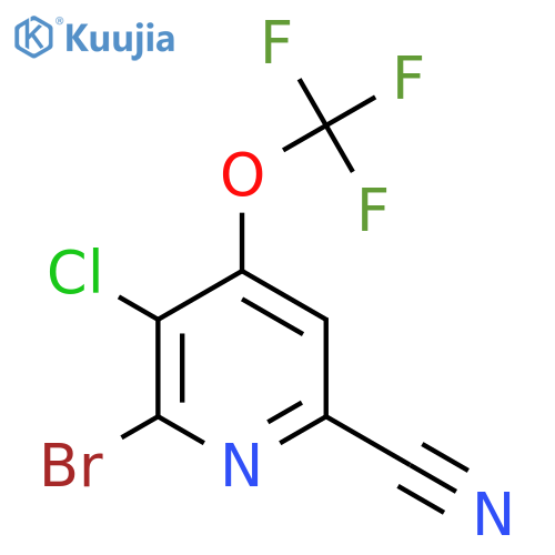2-Bromo-3-chloro-6-cyano-4-(trifluoromethoxy)pyridine structure