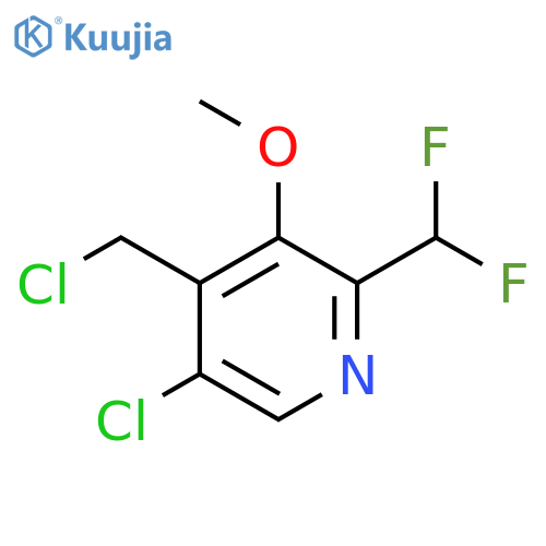 5-Chloro-4-(chloromethyl)-2-(difluoromethyl)-3-methoxypyridine structure
