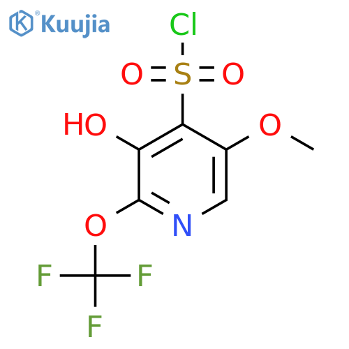 3-Hydroxy-5-methoxy-2-(trifluoromethoxy)pyridine-4-sulfonyl chloride structure
