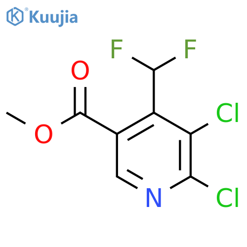 Methyl 2,3-dichloro-4-(difluoromethyl)pyridine-5-carboxylate structure