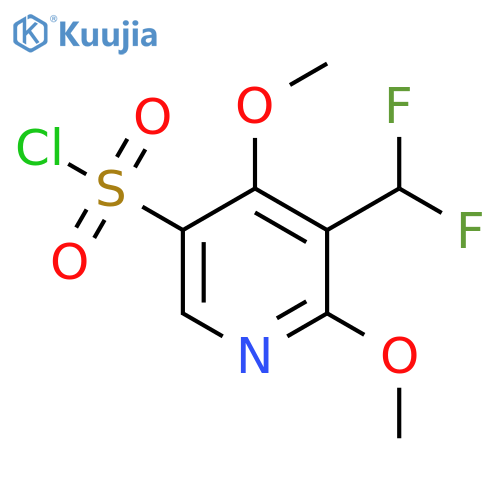 3-(Difluoromethyl)-2,4-dimethoxypyridine-5-sulfonyl chloride structure