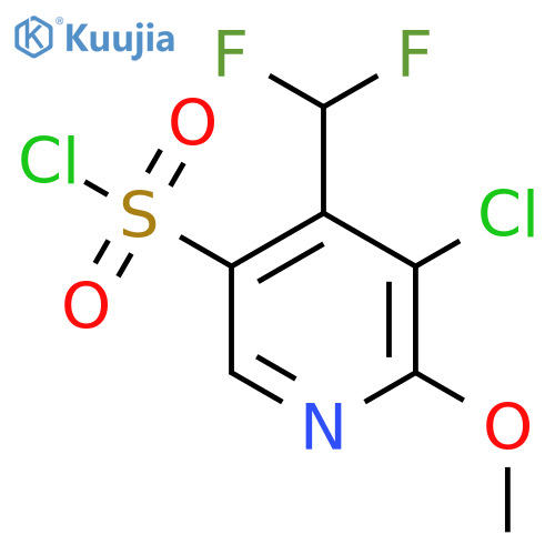 3-Chloro-4-(difluoromethyl)-2-methoxypyridine-5-sulfonyl chloride structure