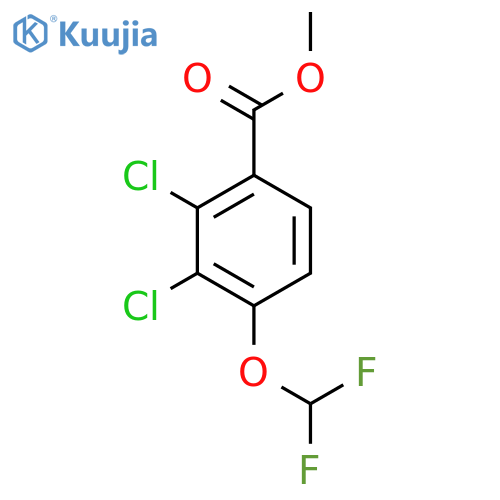 Methyl 2,3-dichloro-4-(difluoromethoxy)benzoate structure