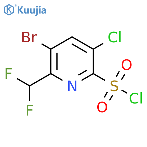 3-Bromo-5-chloro-2-(difluoromethyl)pyridine-6-sulfonyl chloride structure