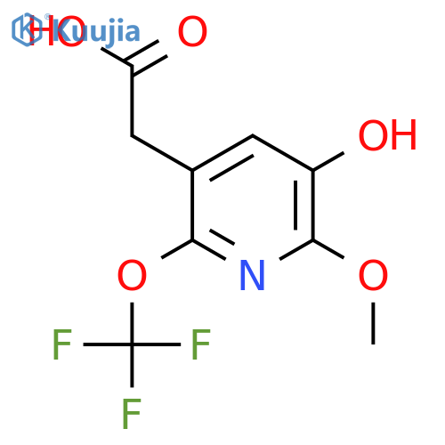 3-Hydroxy-2-methoxy-6-(trifluoromethoxy)pyridine-5-acetic acid structure