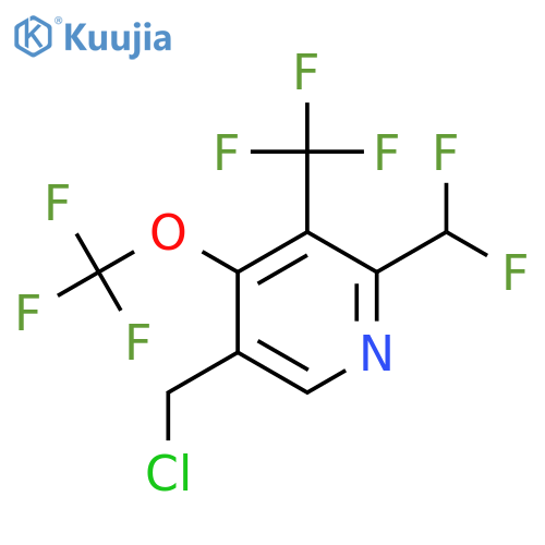 5-(Chloromethyl)-2-(difluoromethyl)-4-(trifluoromethoxy)-3-(trifluoromethyl)pyridine structure