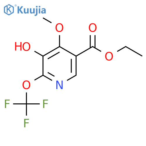 Ethyl 3-hydroxy-4-methoxy-2-(trifluoromethoxy)pyridine-5-carboxylate structure