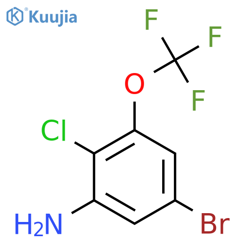 5-Bromo-2-chloro-3-(trifluoromethoxy)aniline structure