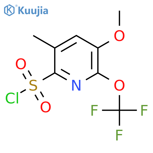 3-Methoxy-5-methyl-2-(trifluoromethoxy)pyridine-6-sulfonyl chloride structure