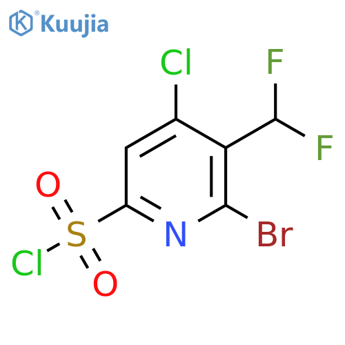 2-Bromo-4-chloro-3-(difluoromethyl)pyridine-6-sulfonyl chloride structure