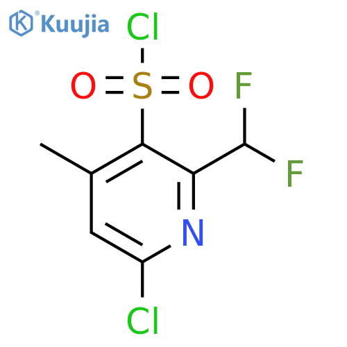 6-Chloro-2-(difluoromethyl)-4-methylpyridine-3-sulfonyl chloride structure