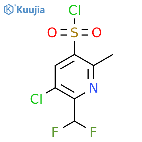 3-Chloro-2-(difluoromethyl)-6-methylpyridine-5-sulfonyl chloride structure