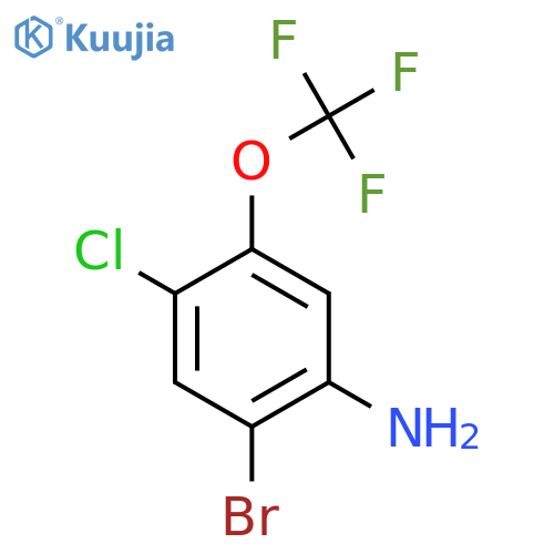 2-Bromo-4-chloro-5-(trifluoromethoxy)aniline structure
