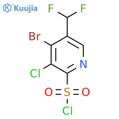 4-Bromo-3-chloro-5-(difluoromethyl)pyridine-2-sulfonyl chloride structure