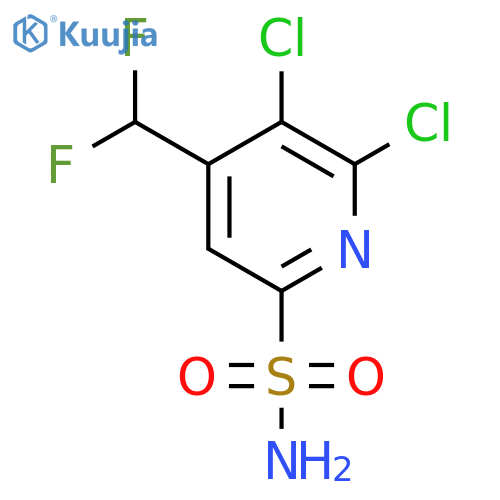 2,3-Dichloro-4-(difluoromethyl)pyridine-6-sulfonamide structure