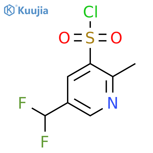 5-(Difluoromethyl)-2-methylpyridine-3-sulfonyl chloride structure