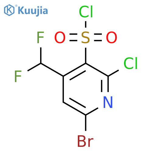 6-Bromo-2-chloro-4-(difluoromethyl)pyridine-3-sulfonyl chloride structure