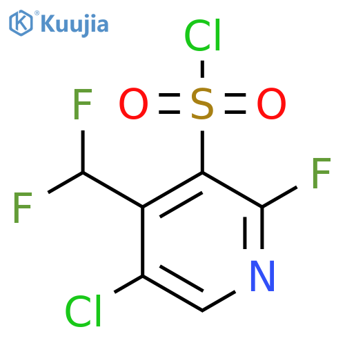 5-Chloro-4-(difluoromethyl)-2-fluoropyridine-3-sulfonyl chloride structure