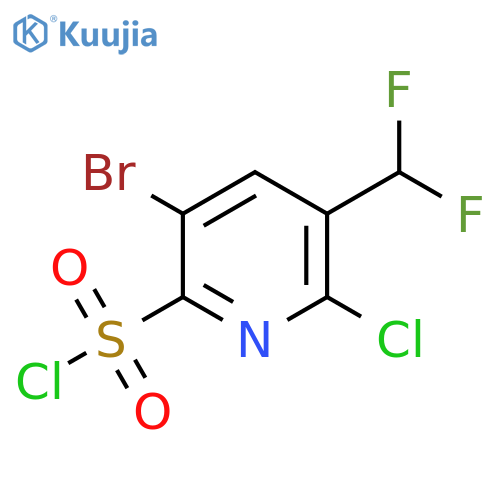 5-Bromo-2-chloro-3-(difluoromethyl)pyridine-6-sulfonyl chloride structure