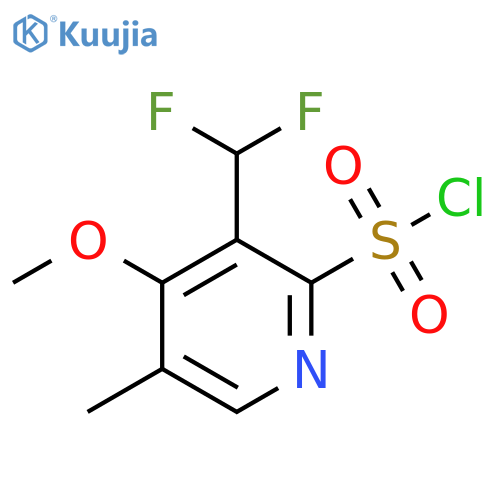 3-(Difluoromethyl)-4-methoxy-5-methylpyridine-2-sulfonyl chloride structure