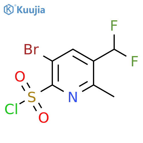 3-Bromo-5-(difluoromethyl)-6-methylpyridine-2-sulfonyl chloride structure