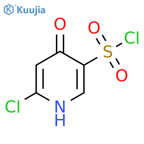 2-Chloro-4-hydroxypyridine-5-sulfonyl chloride structure