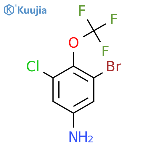 3-Bromo-5-chloro-4-(trifluoromethoxy)aniline structure