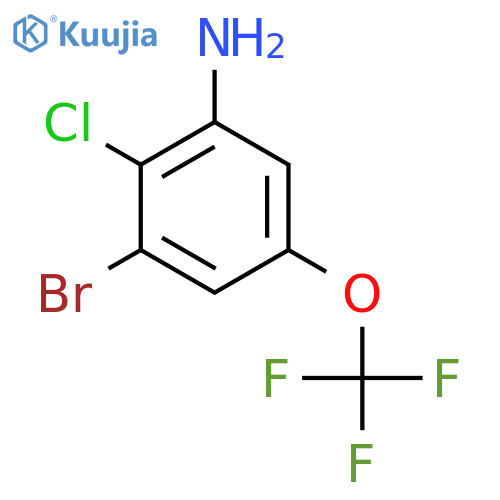 3-Bromo-2-chloro-5-(trifluoromethoxy)aniline structure