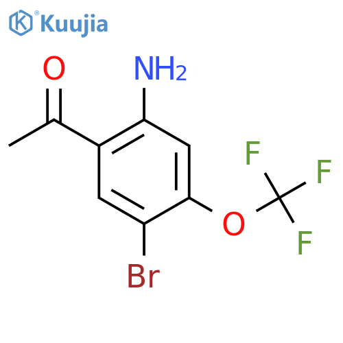 2'-Amino-5'-bromo-4'-(trifluoromethoxy)acetophenone structure