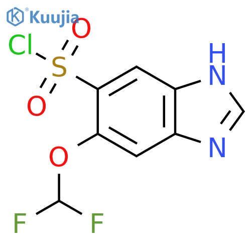 6-Difluoromethoxy-1H-benzimidazole-5-sulfonyl chloride structure