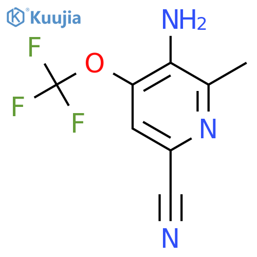 3-Amino-6-cyano-2-methyl-4-(trifluoromethoxy)pyridine structure