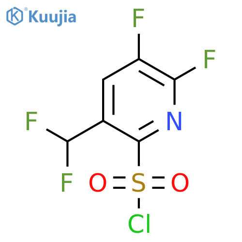 2,3-Difluoro-5-(difluoromethyl)pyridine-6-sulfonyl chloride structure