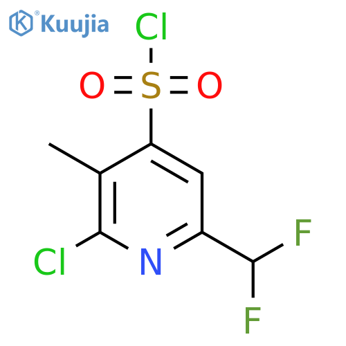 2-Chloro-6-(difluoromethyl)-3-methylpyridine-4-sulfonyl chloride structure